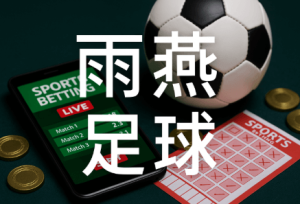 什么是雨燕足球？